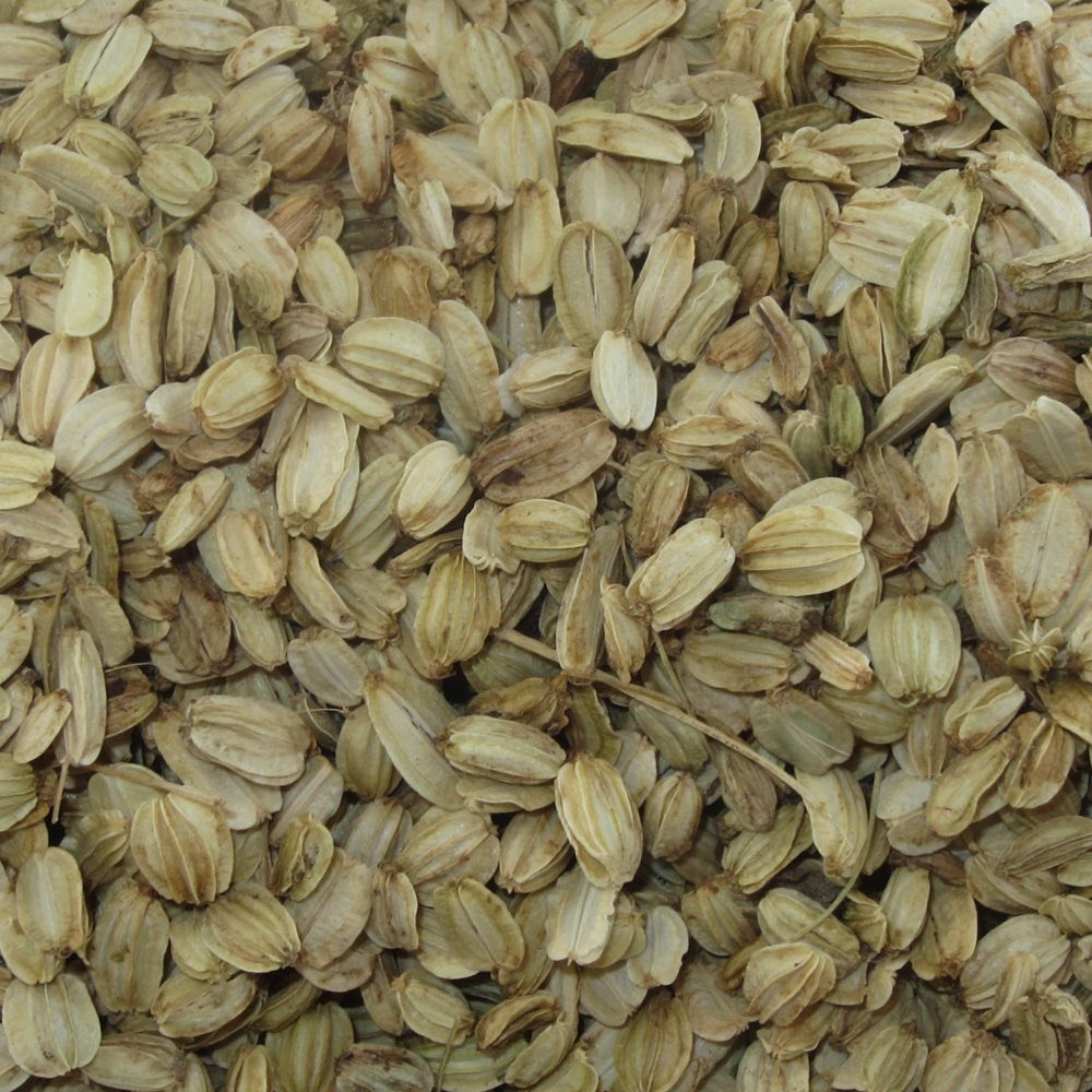 Ashitaba Seeds (Angelica keiskei) Rare Japanese Herb vegetable and garden seeds