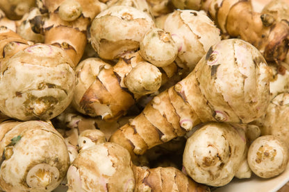 Jerusalem Artichoke (Sunchoke) Helianthus Tuberosus Yellow Sunflower Root Vegetable Seeds