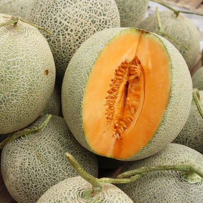 Hale's Best Jumbo Cantaloupe (Cucumis melo) Orange Muskmelon Fruit Seeds