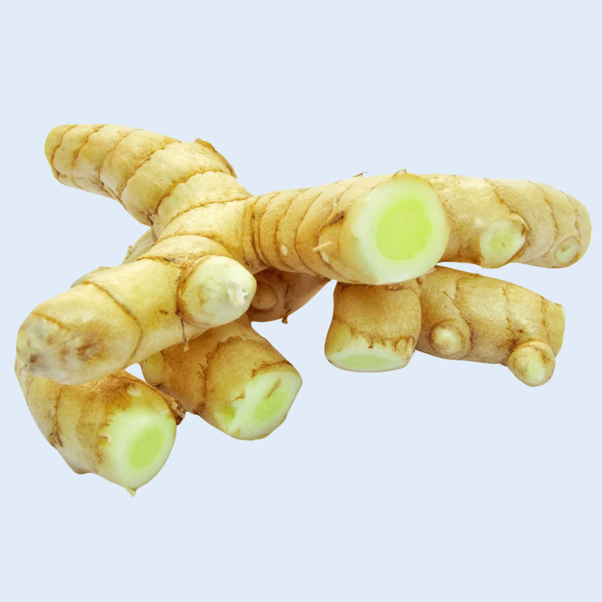 Ginger Vegetable Seeds For Planting Cream