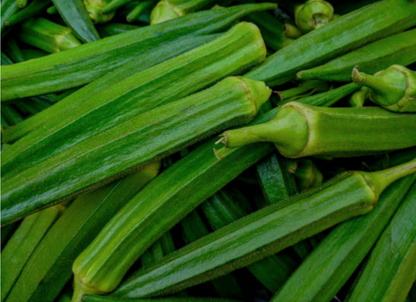 Okra Seeds for Easy Planting