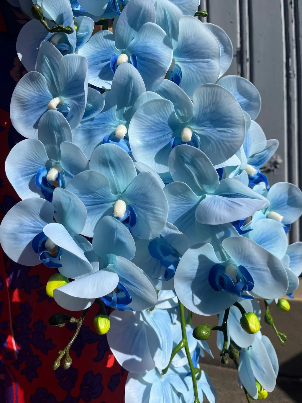 Sky Blue Orchid Flower seeds for Planting Vibrant Colors, Heirloom & GMO Free Seeds for Home Garden seeds for planting