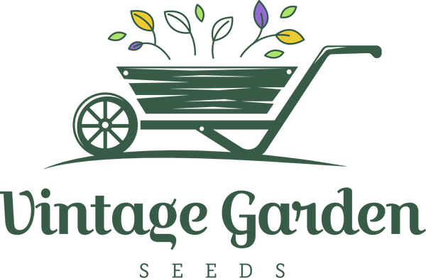 Vintage Garden Seeds