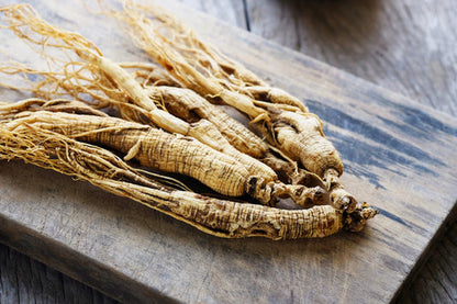 American Ginseng seeds Panax quinquefolius for shade woodland planting