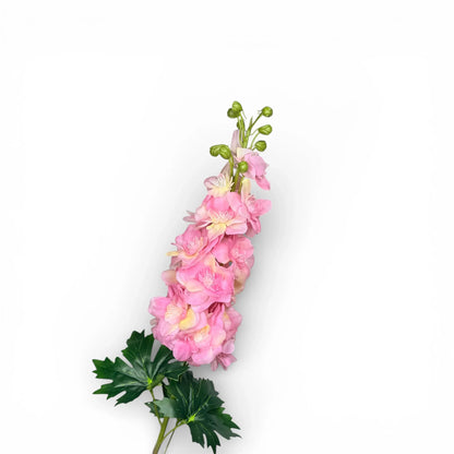 Delphinium Flower seeds for Planting - Cottage Garden Essential, Heirloom & GMO Free Seeds for Home Garden