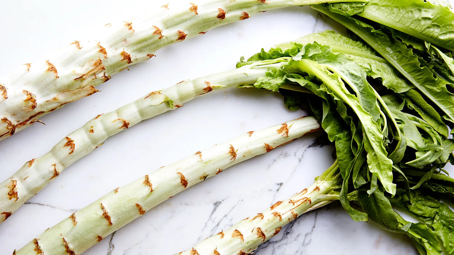 Asparagus Lettuce seeds ideal for backyard garden