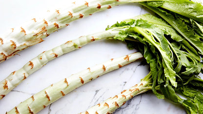 Asparagus Lettuce seeds ideal for backyard garden