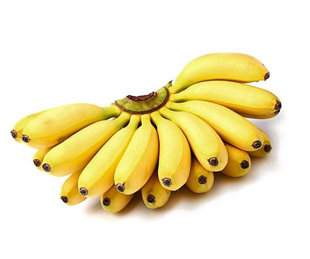 Banana seeds for planting tropical banana plants
