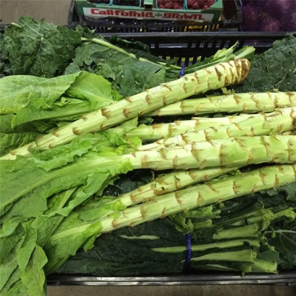 Asparagus Lettuce Seeds for Crisp Salad Planting