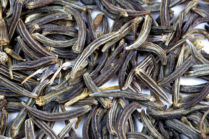 Heirloom non-GMO Kala Jeera Black Cumin seeds ready for planting
