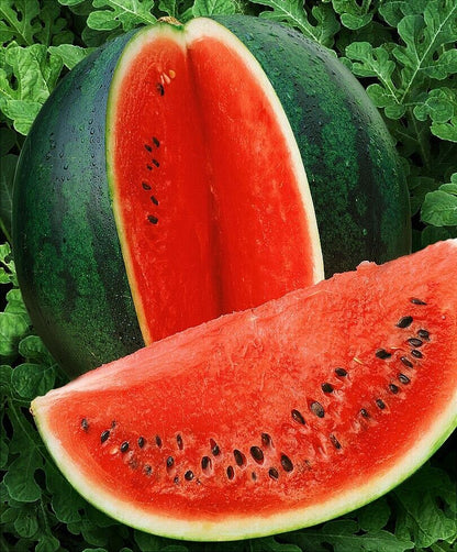 Sugar Baby Watermelon (Citrullus lanatus) Fruit Melon Seeds