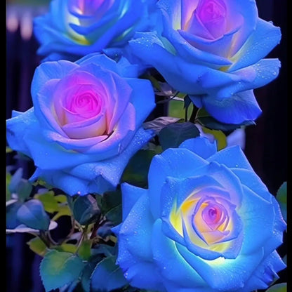 Rose Blue Green Seeds For Planting Flower
