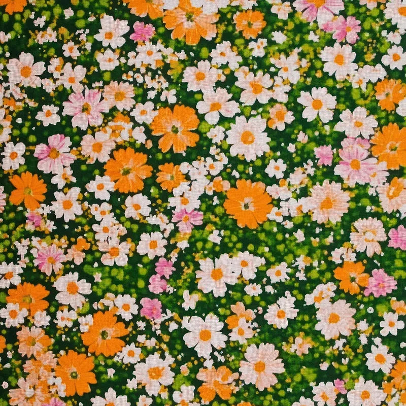 Mix Leptosiphon Flower seeds for Planting Low Maintenance, Heirloom & GMO Free Seeds for Home Garden seeds for planting