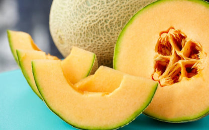 Healthy cantaloupe vines grown from high-quality melon seeds
