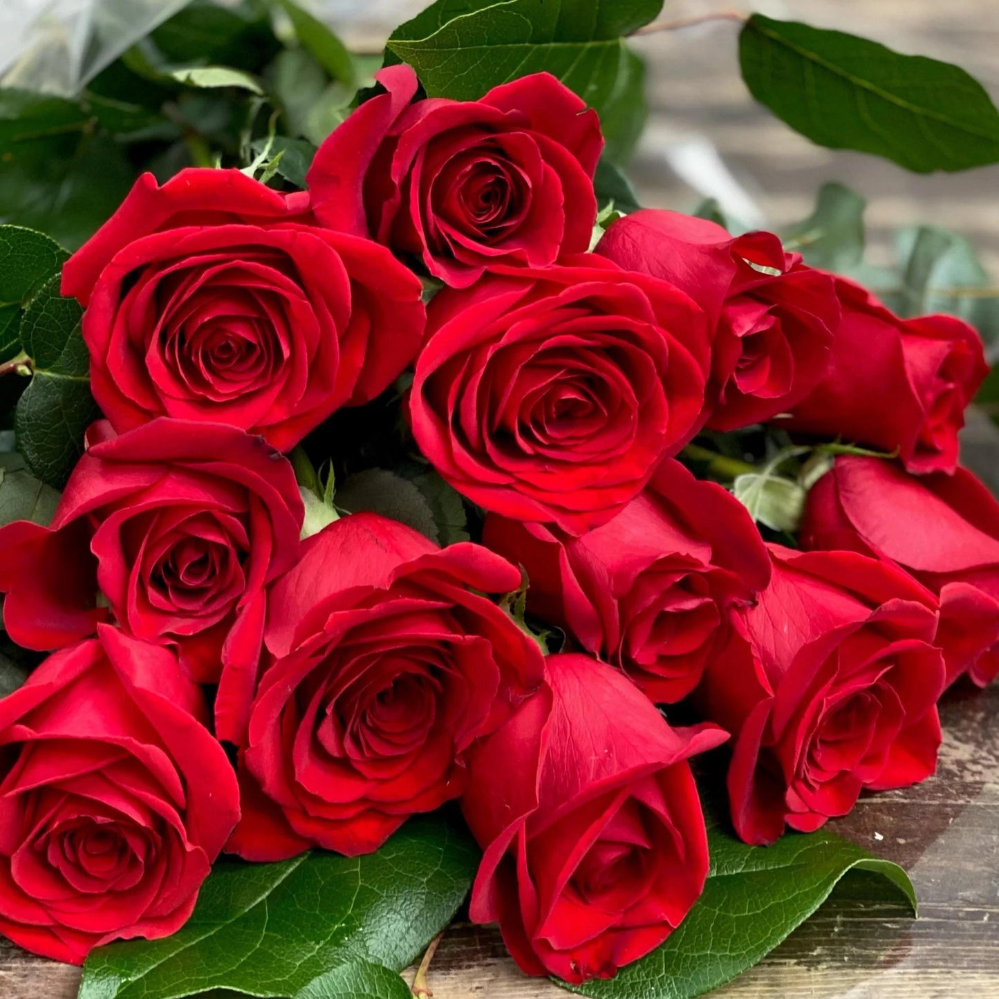 Classic Red Rose Flower Seeds for Planting