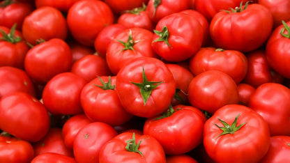 Cherry Tomato Plants Growing in Containers
