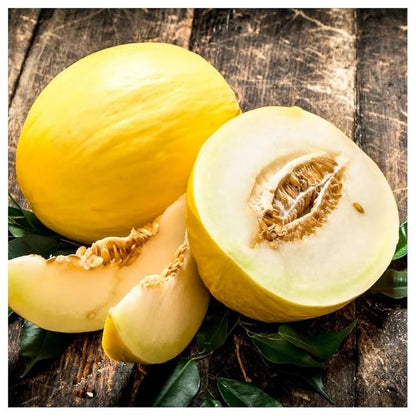 Freshly harvested Crenshaw melons in basket
