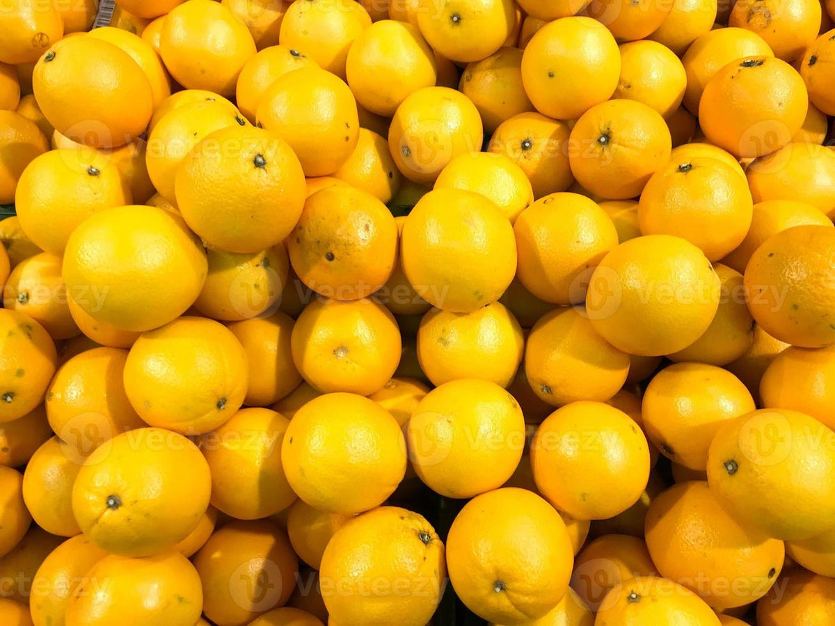 Dark Yellow Orange Fruit Tree Growing in Garden, Healthy Tree with Vibrant Orange Fruits