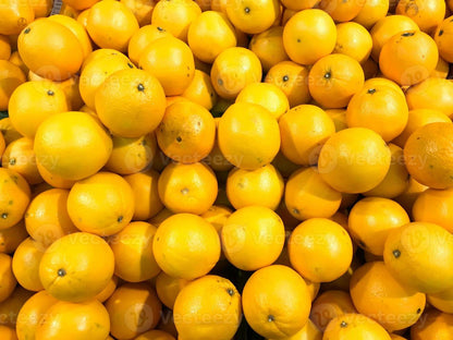 Dark Yellow Orange Fruit Tree Growing in Garden, Healthy Tree with Vibrant Orange Fruits