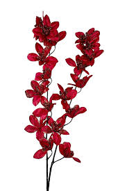 High quality Red Weeping Forsythia Flower seeds for Planting Colorful Display, Heirloom & GMO Free Seeds for Home Garden seeds pack
