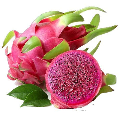 Dragon fruit seedlings growth and planting guide