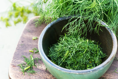 Dukat Dill Seeds Anethum Graveolens Sweet Heirloom European Variety