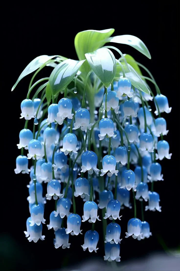 Violet Bell Orchid Flower Seeds for Planting