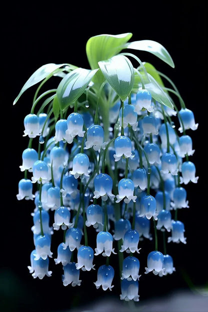 Violet Bell Orchid Flower Seeds for Planting