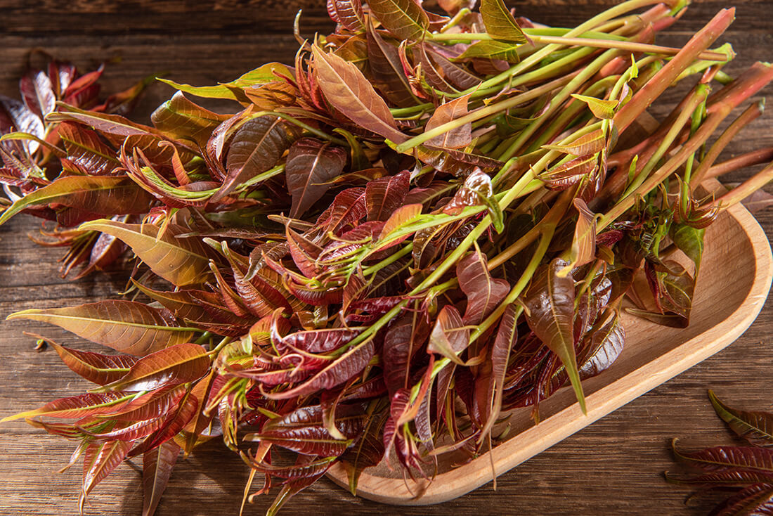 Toon Edible Oil Planting Seeds For Culinary Use - Enhance Your Cooking With Delicious Flavors From