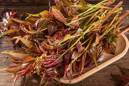 Toon Edible Oil Planting Seeds For Culinary Use - Enhance Your Cooking With Delicious Flavors From