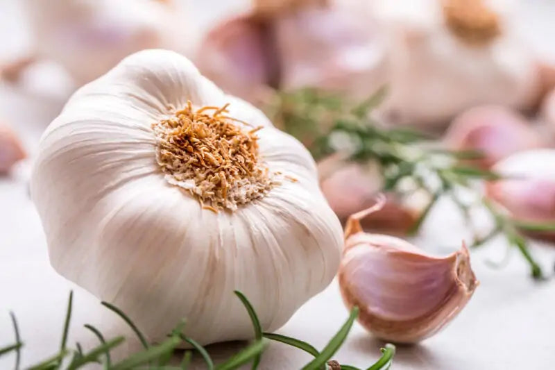 Nutritious Garlic Seeds for Growing Flavorful Vegetables