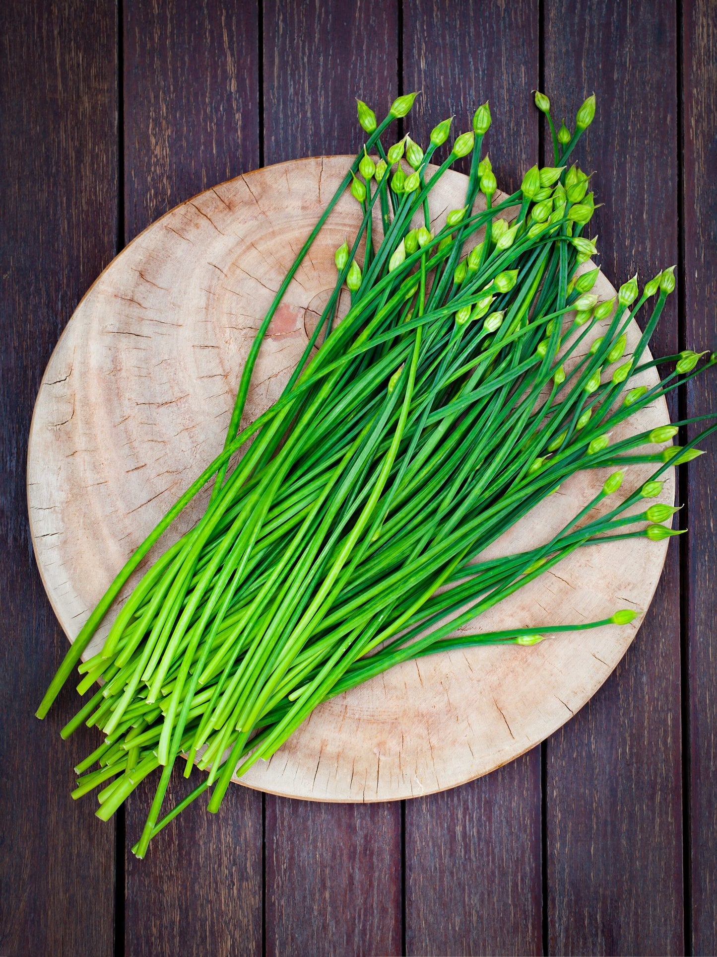 Mature Flat Garlic Chives Leaves Ready for Harvest