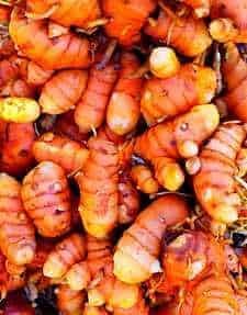 Harvested Mixed Turmeric rhizomes for culinary and medicinal use