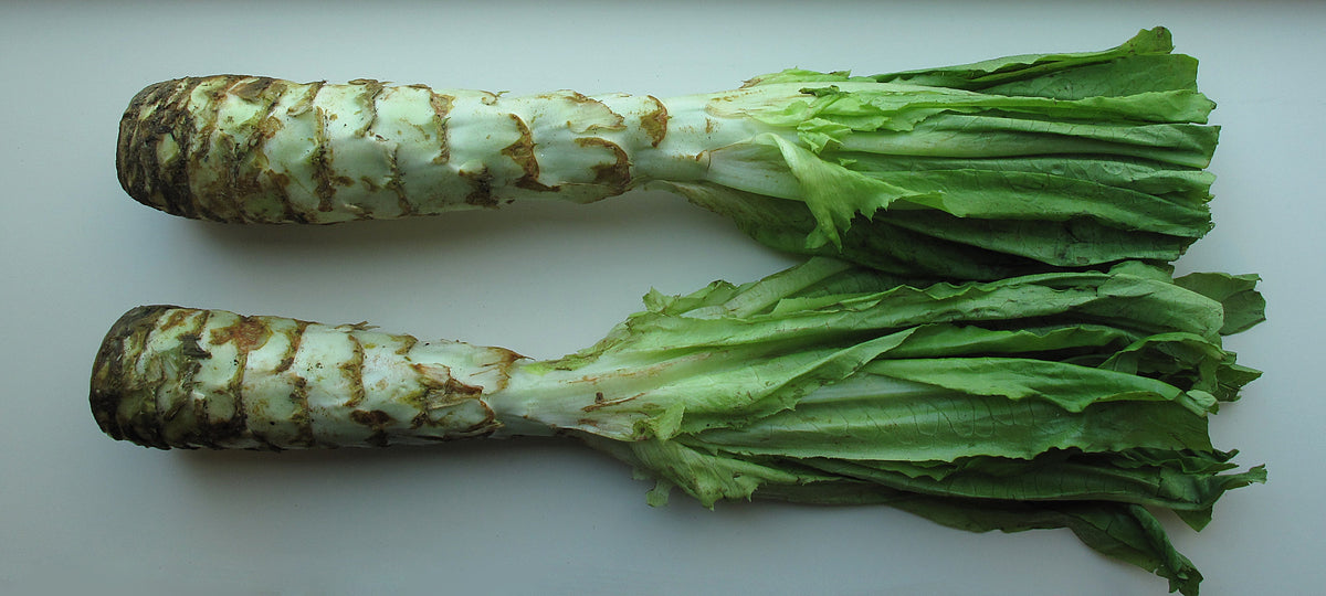 High germination Asparagus Lettuce seeds