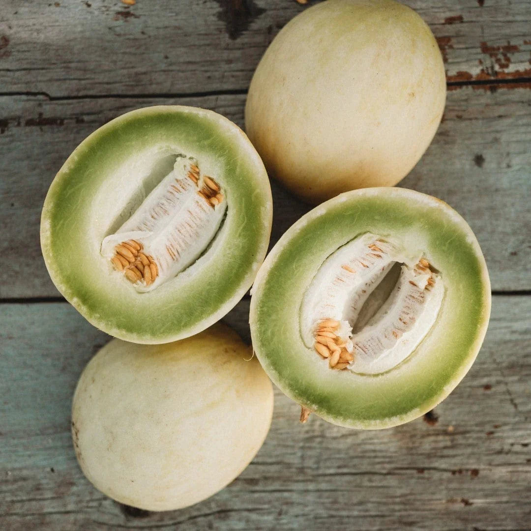 Honeydew Green Flesh Melon (Cucumis melo Inodorus) Fruit Seeds