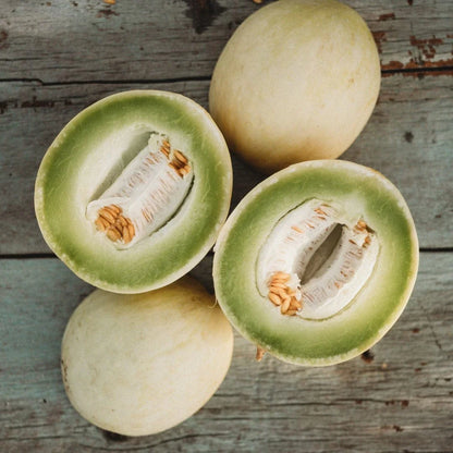 Honeydew Green Flesh Melon (Cucumis melo Inodorus) Fruit Seeds