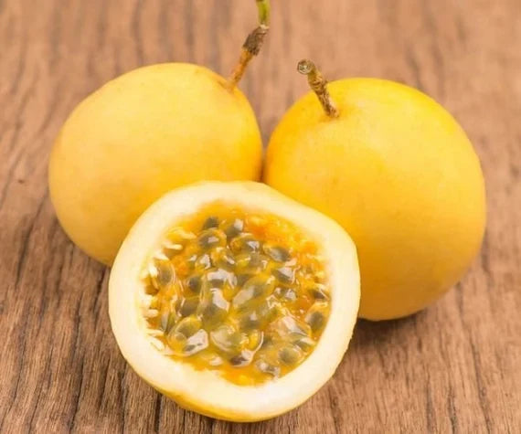 Sweet Granadilla (Passiflora ligularis) Yellow Passionfruit – Huge Purple & White Flower Yellow-Orange Fruit Vine Seeds