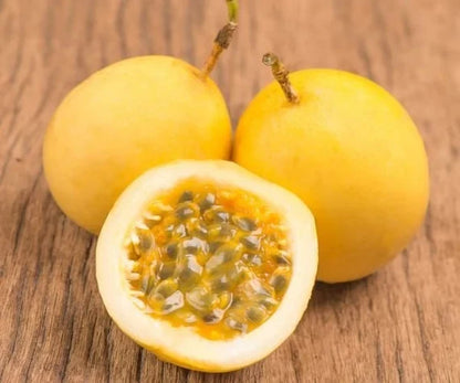 Sweet Granadilla (Passiflora ligularis) Yellow Passionfruit – Huge Purple & White Flower Yellow-Orange Fruit Vine Seeds