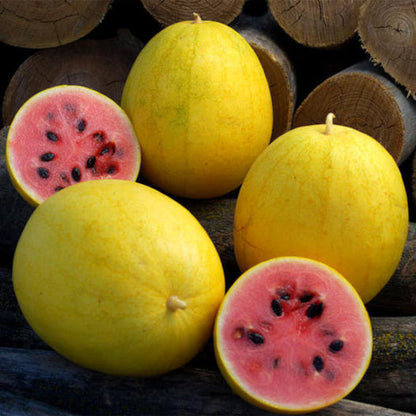 Watermelon Seeds - Golden Midget