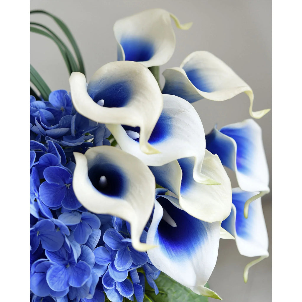 Premium Sky Blue Calla Flower seeds for Planting Shade Tolerant, Heirloom & GMO Free Seeds for Home Garden seeds