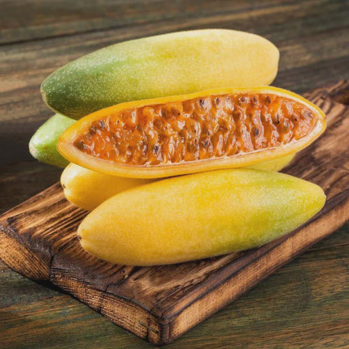 Banana Passion Fruit Seeds for Planting