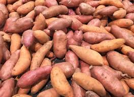 Sweet Potato Vegetable Seeds Planting Redish Brown