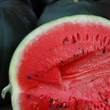 Sugar Baby Watermelon (Citrullus lanatus) Fruit Melon Seeds