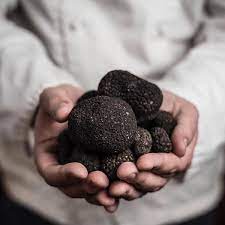 Truffle Seeds For Planting