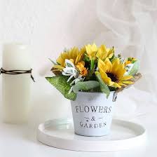 Sunflower Bonsai Planting Flower Seeds Black