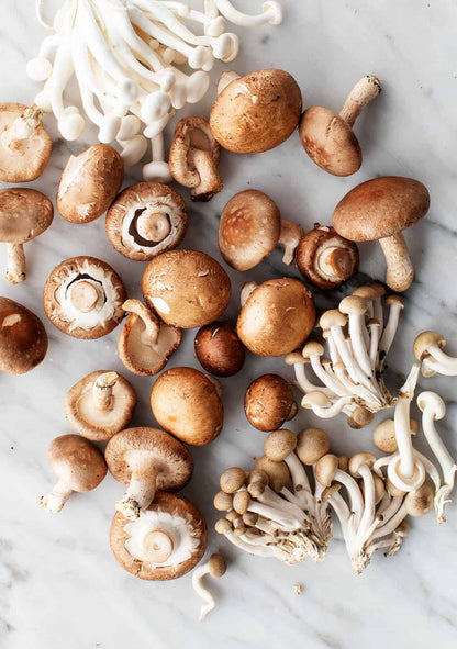 Indoor Mushroom Cultivation with Mixed Seeds