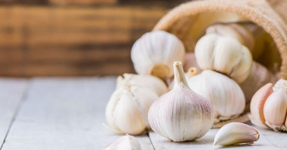 Enhance Flavor With Garlic Vegetable Seeds For Planting - Ideal Nutritious Gardening