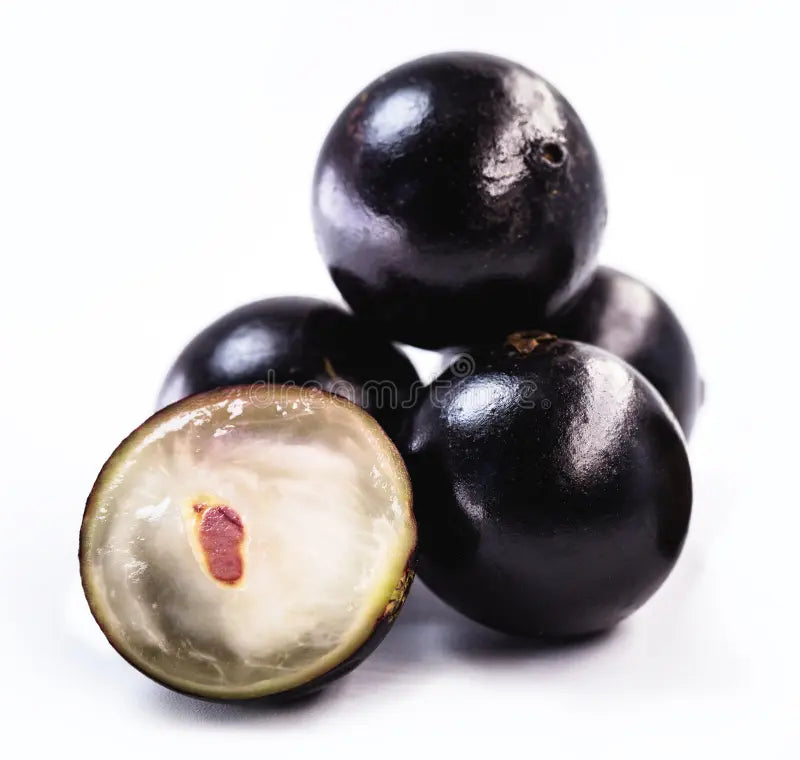 Black Jabuticaba Fruit Seeds For Planting - Grow Unique Fruits At Home