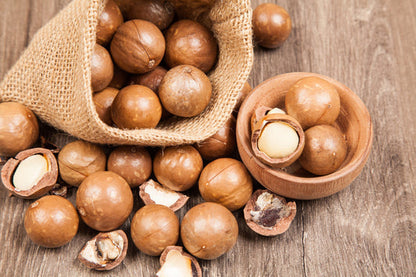 Macadamia Nut Tree (Macadamia integrifolia) seeds for planting