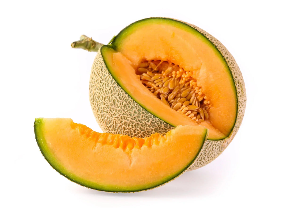 Step-by-Step Planting Instructions for Musk Melon Seeds in Your Garden